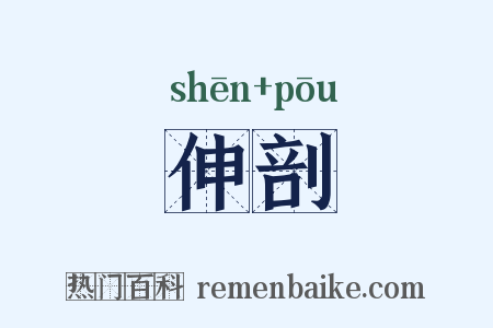 伸剖是什么意思的图片